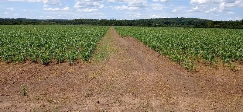 Fazenda de 387 ha em Angatuba, SP