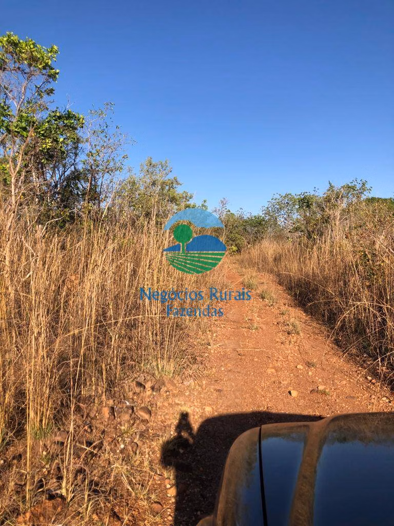 Fazenda de 726 ha em Porangatu, GO