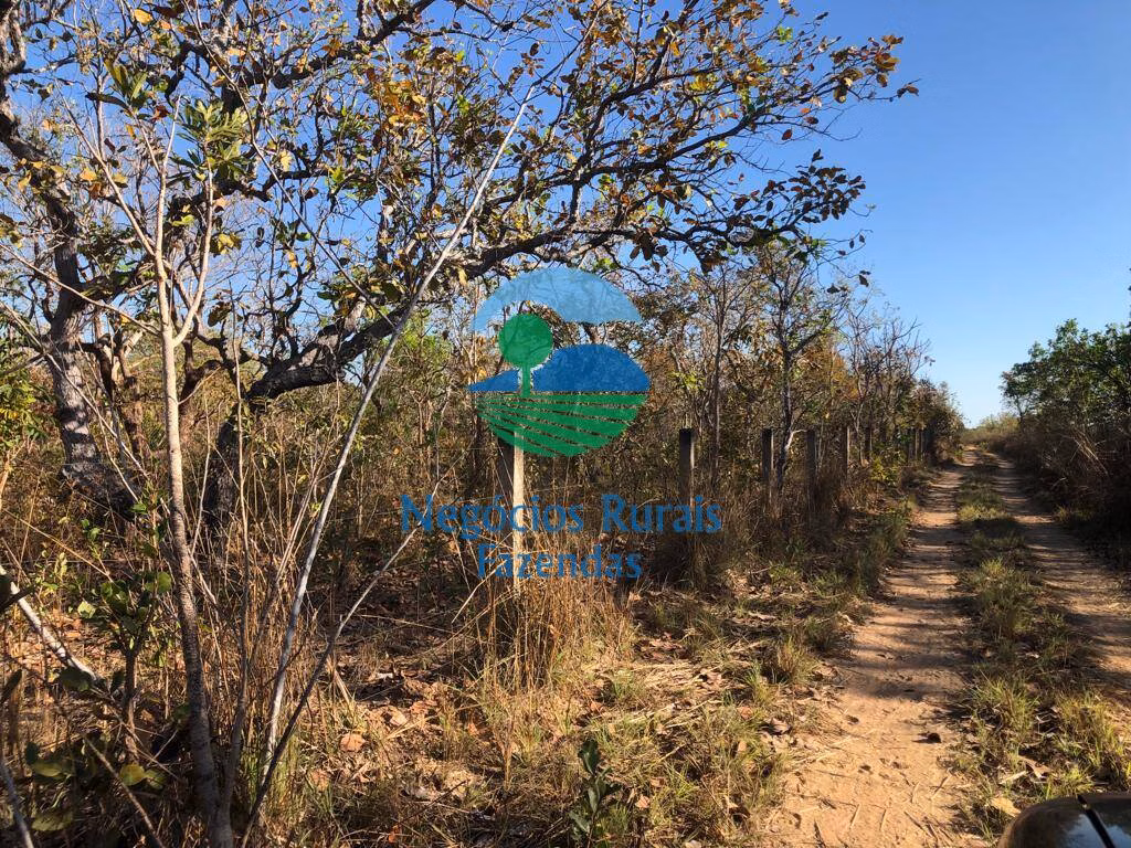 Fazenda de 726 ha em Porangatu, GO