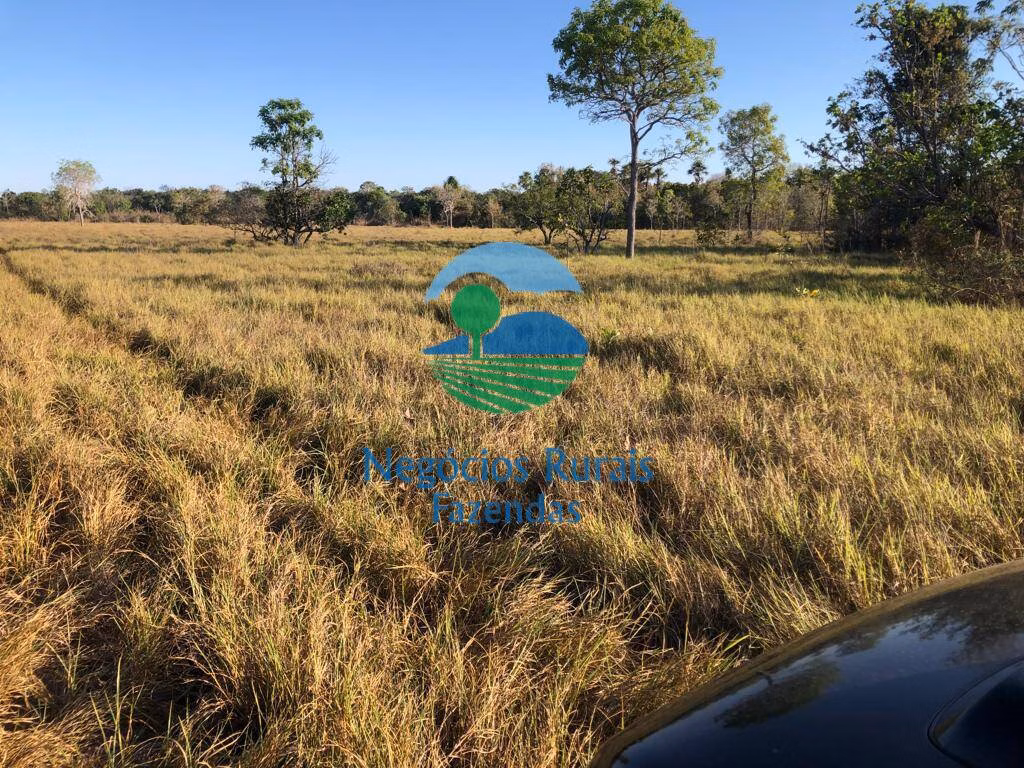 Fazenda de 726 ha em Porangatu, GO