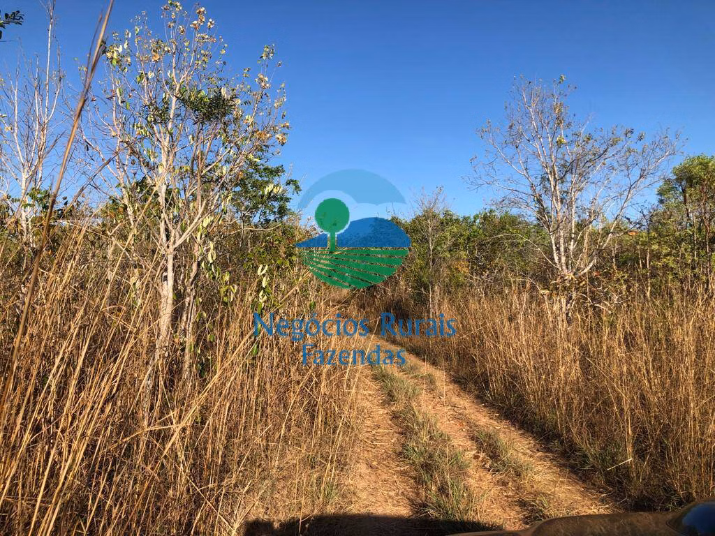 Fazenda de 726 ha em Porangatu, GO