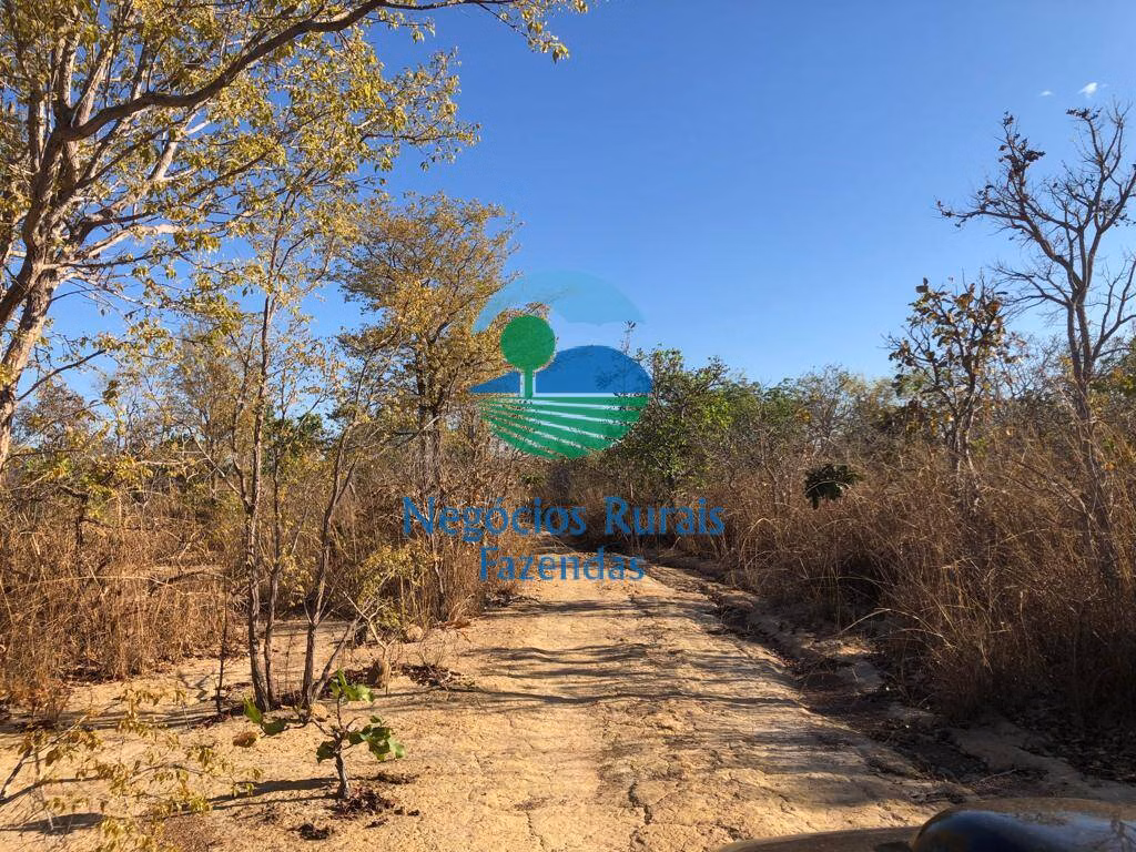 Fazenda de 726 ha em Porangatu, GO