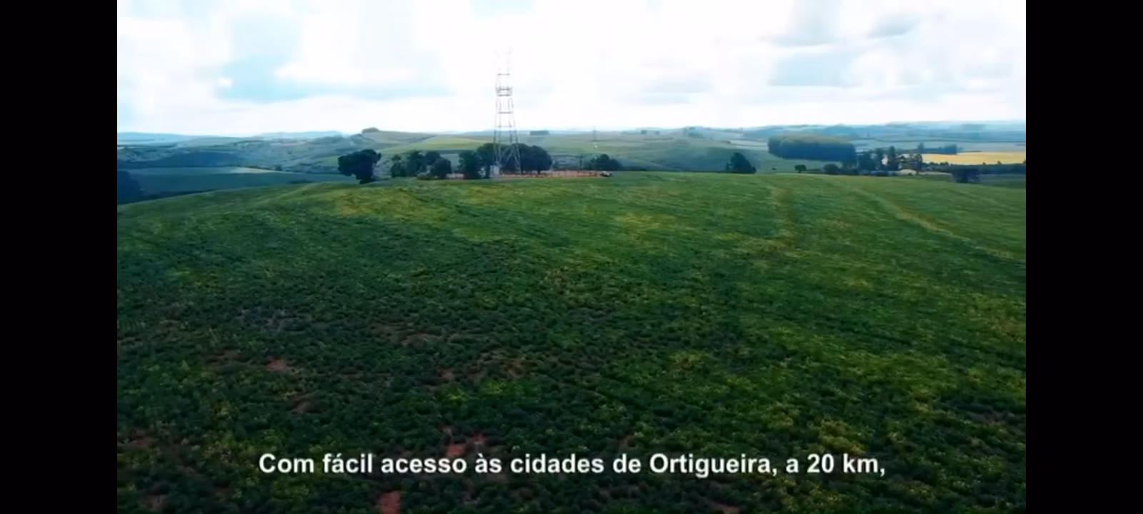 Farm of 377 acres in Ortigueira, PR, Brazil