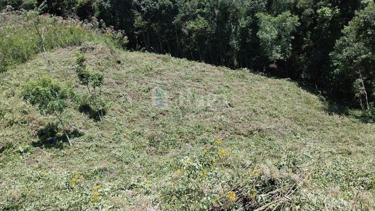 Chácara de 12 ha em Alfredo Wagner, SC