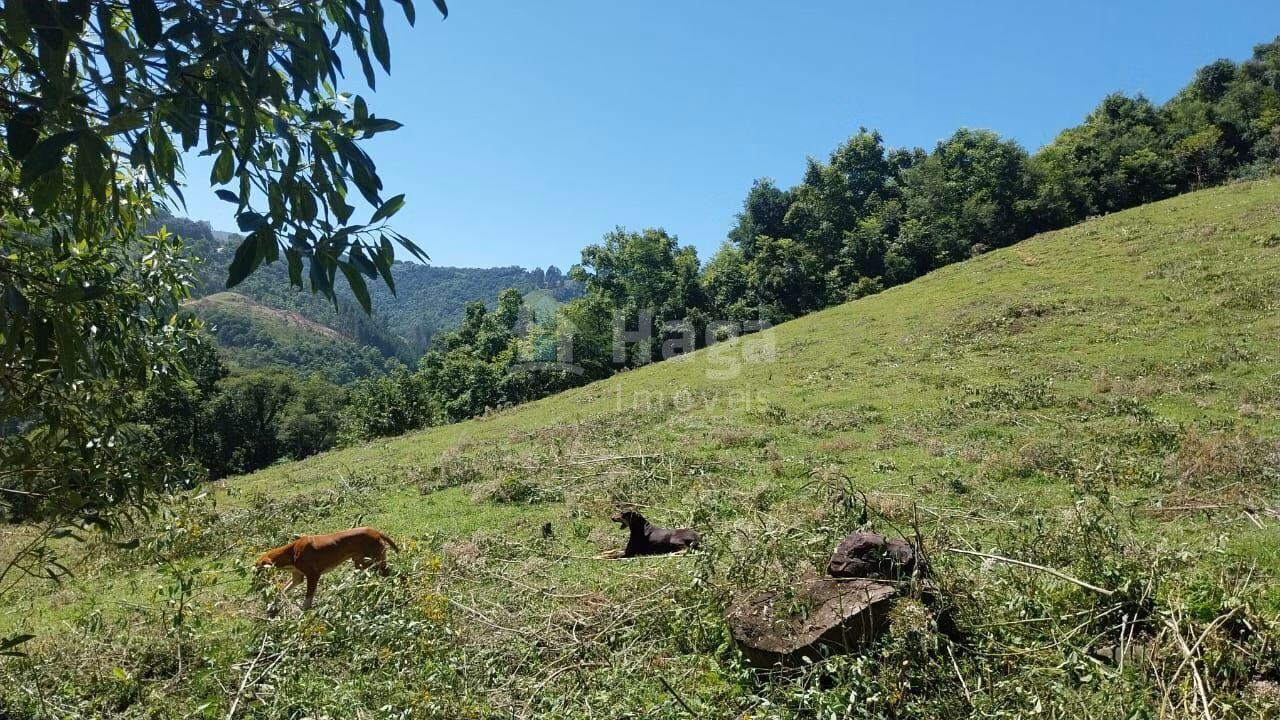 Chácara de 12 ha em Alfredo Wagner, SC