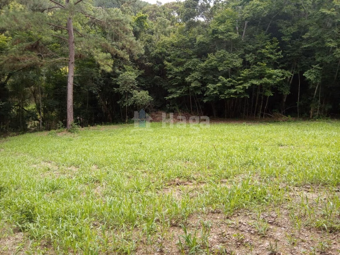 Chácara de 12 ha em Alfredo Wagner, SC