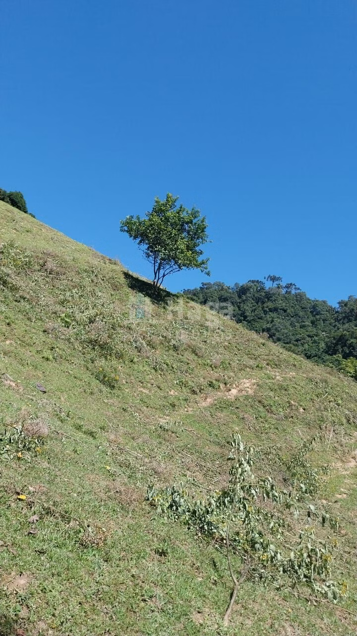 Chácara de 12 ha em Alfredo Wagner, SC