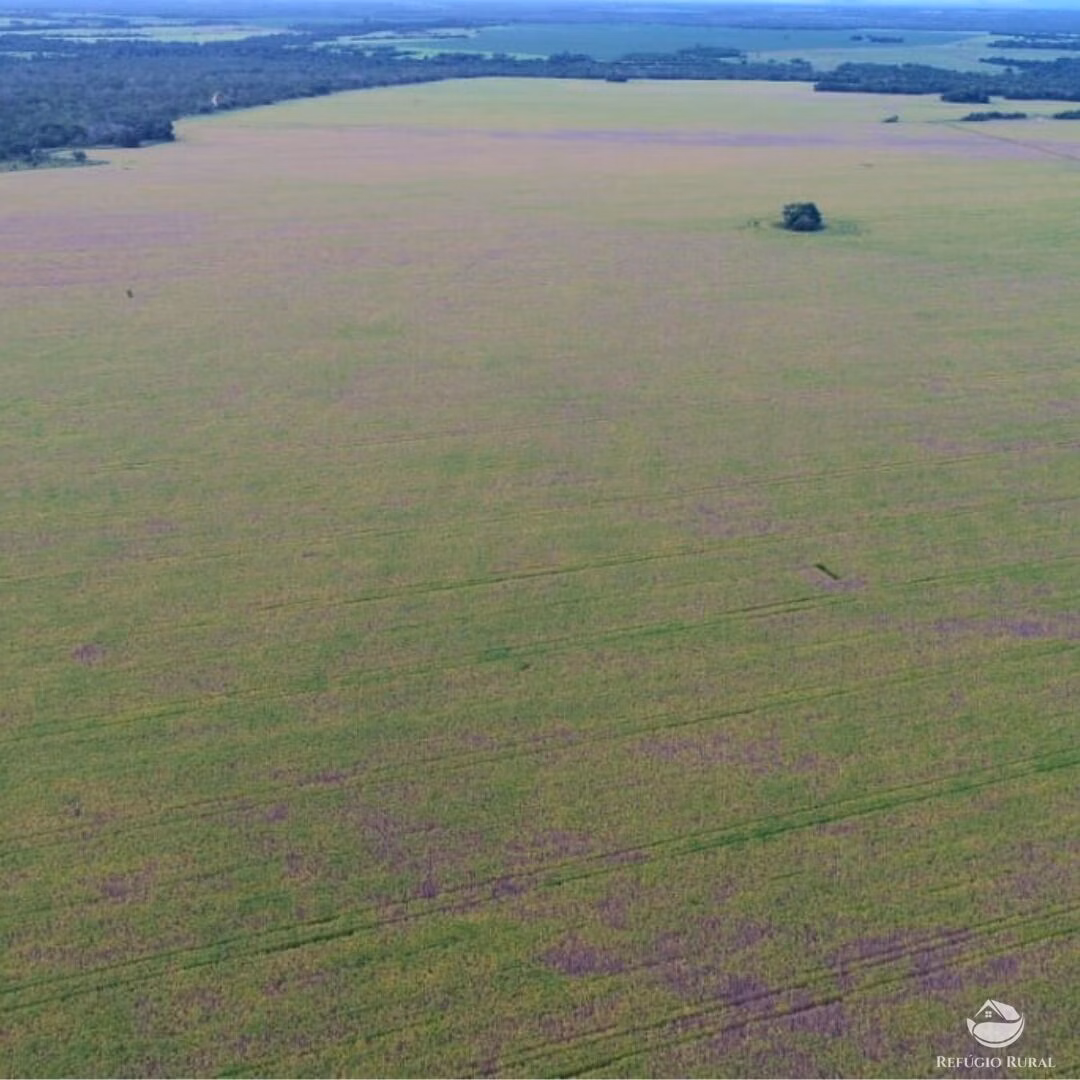 Fazenda de 1.998 ha em Santa Rosa do Tocantins, TO