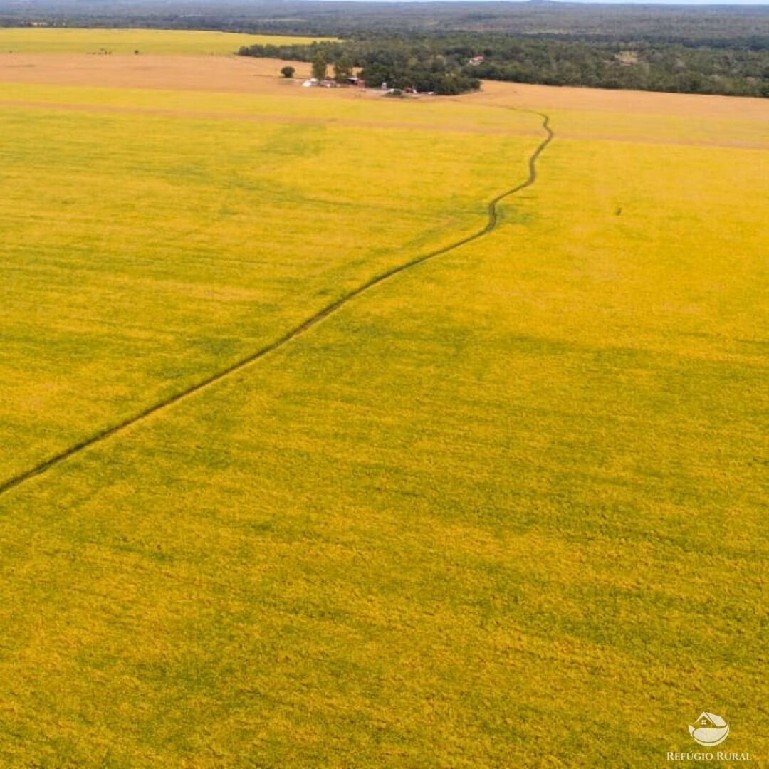 Fazenda de 1.998 ha em Santa Rosa do Tocantins, TO