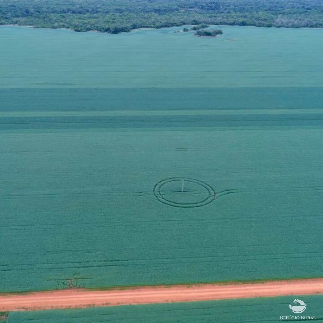 Fazenda de 1.998 ha em Santa Rosa do Tocantins, TO