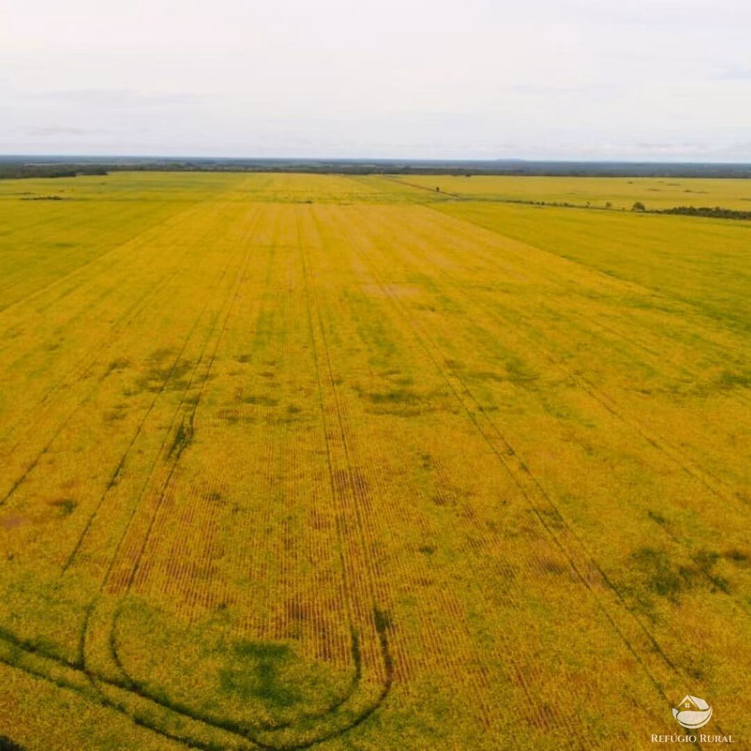 Fazenda de 1.998 ha em Santa Rosa do Tocantins, TO