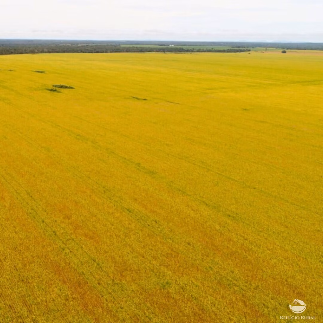 Fazenda de 1.998 ha em Santa Rosa do Tocantins, TO