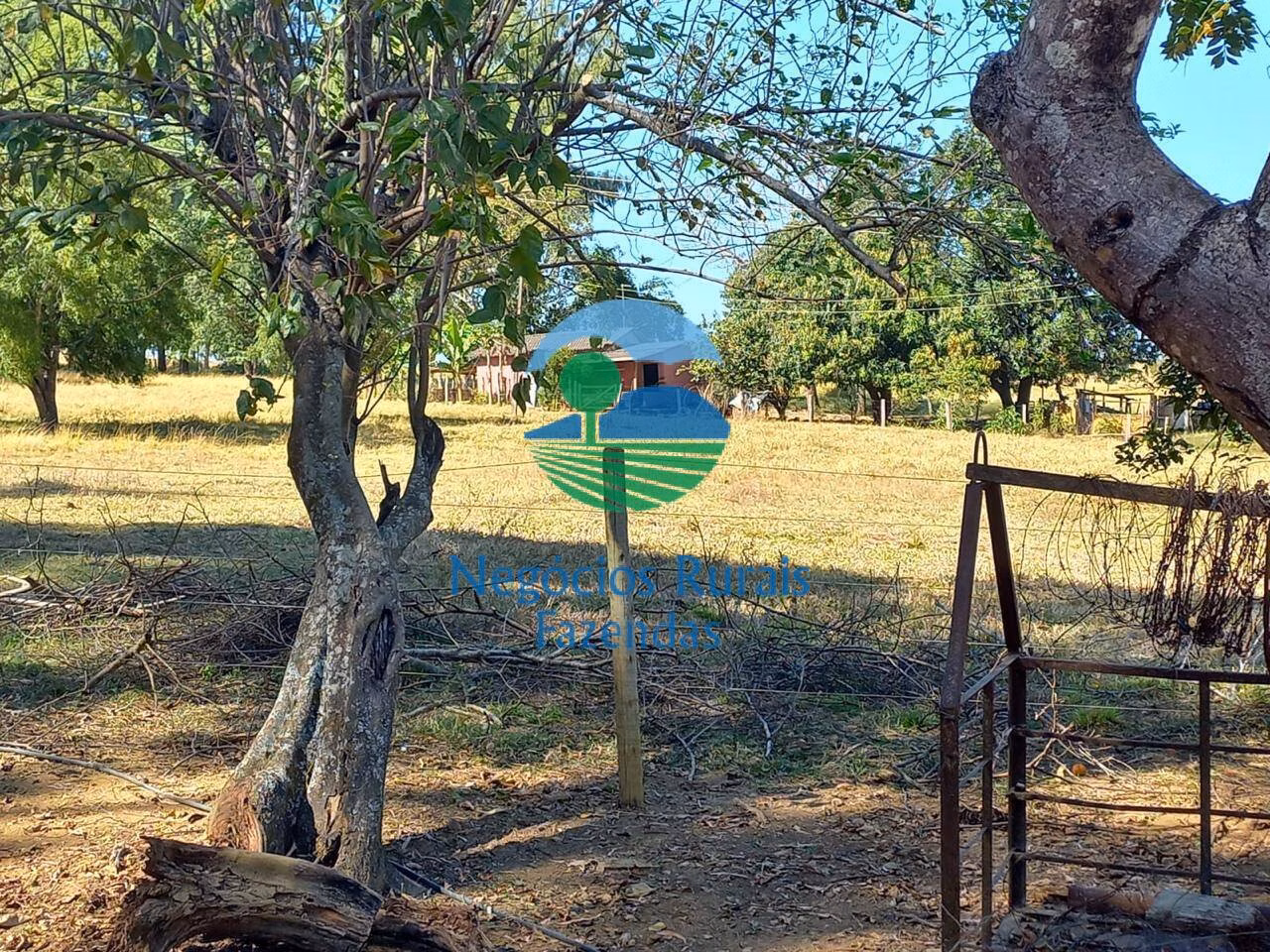 Farm of 514 acres in Anápolis, GO, Brazil