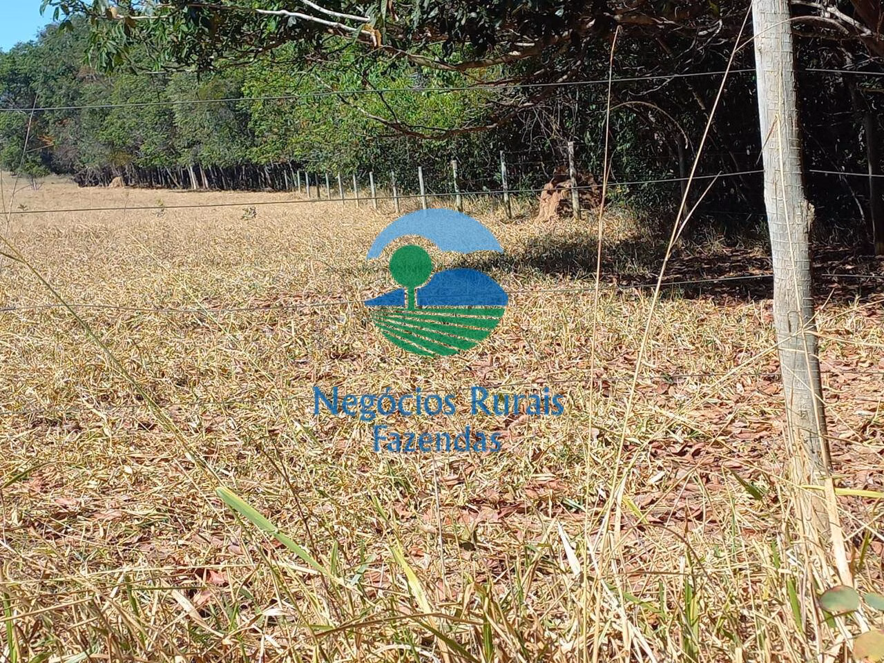 Farm of 514 acres in Anápolis, GO, Brazil