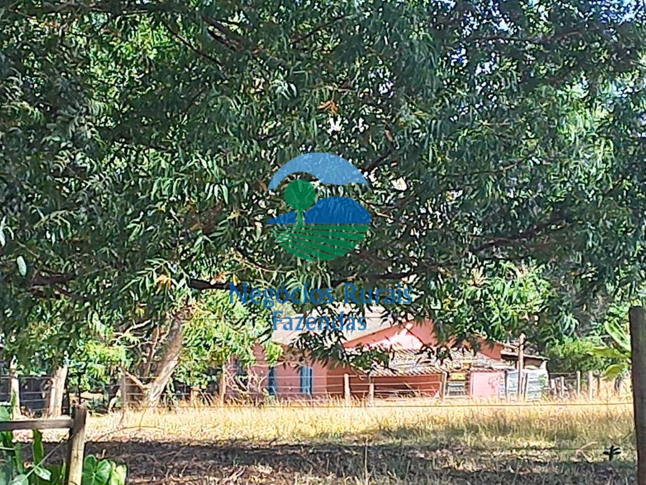 Farm of 514 acres in Anápolis, GO, Brazil