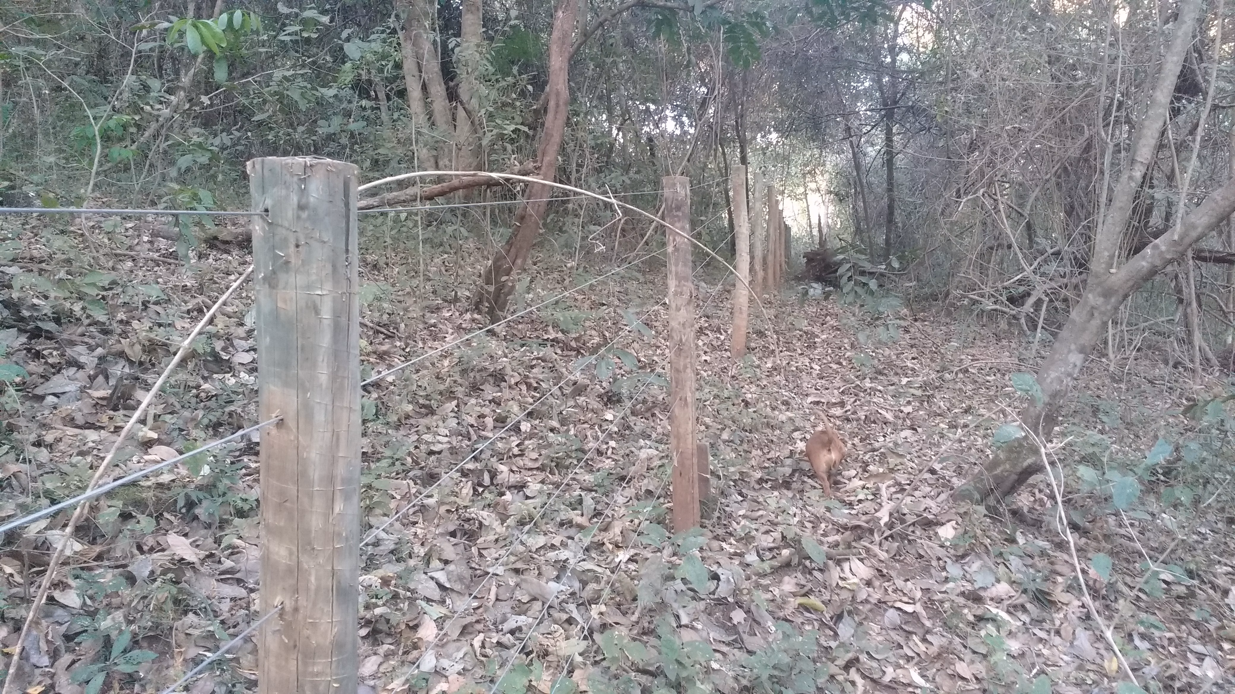 Plot of 13 acres in Anápolis, GO, Brazil