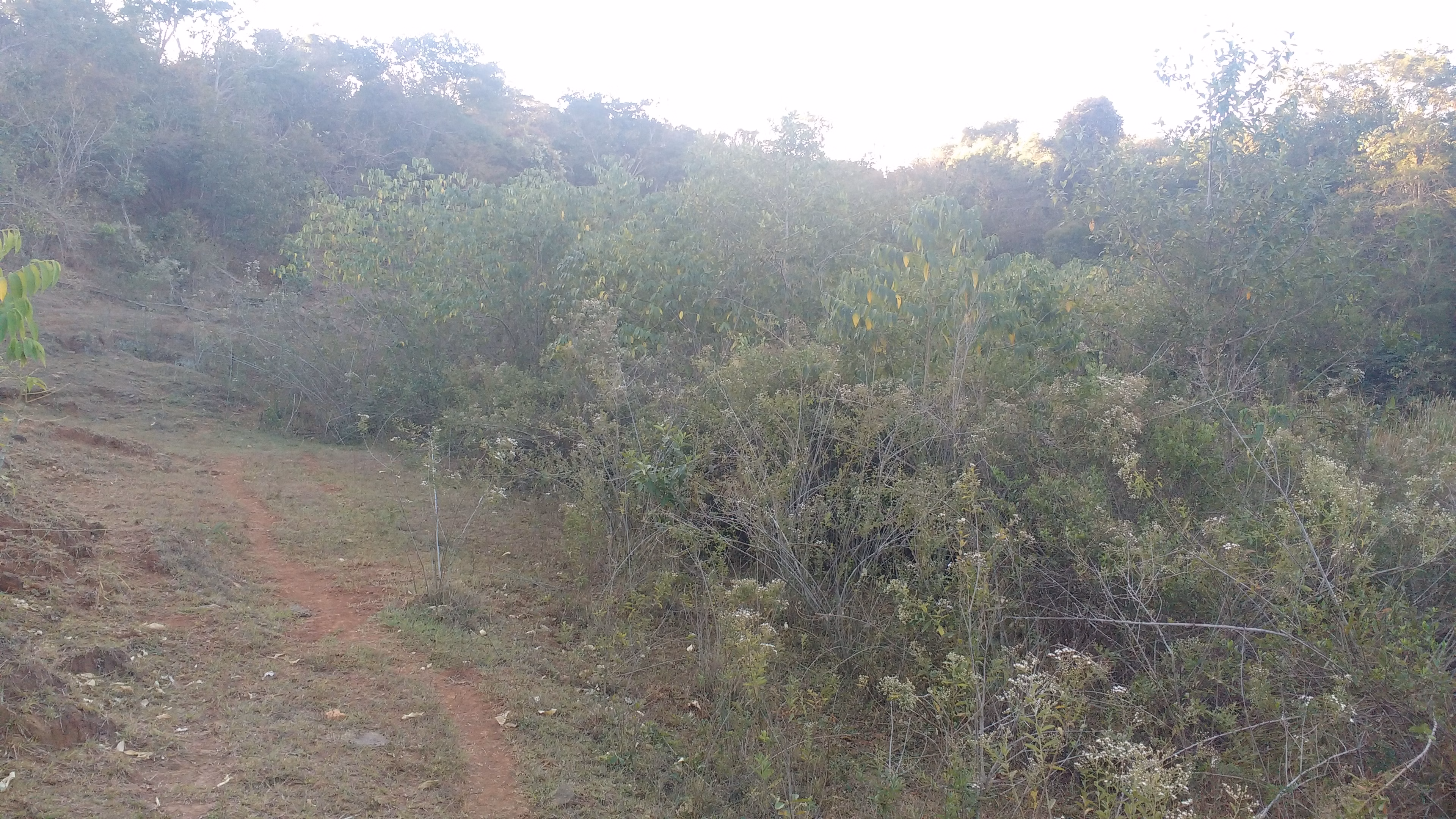 Plot of 13 acres in Anápolis, GO, Brazil