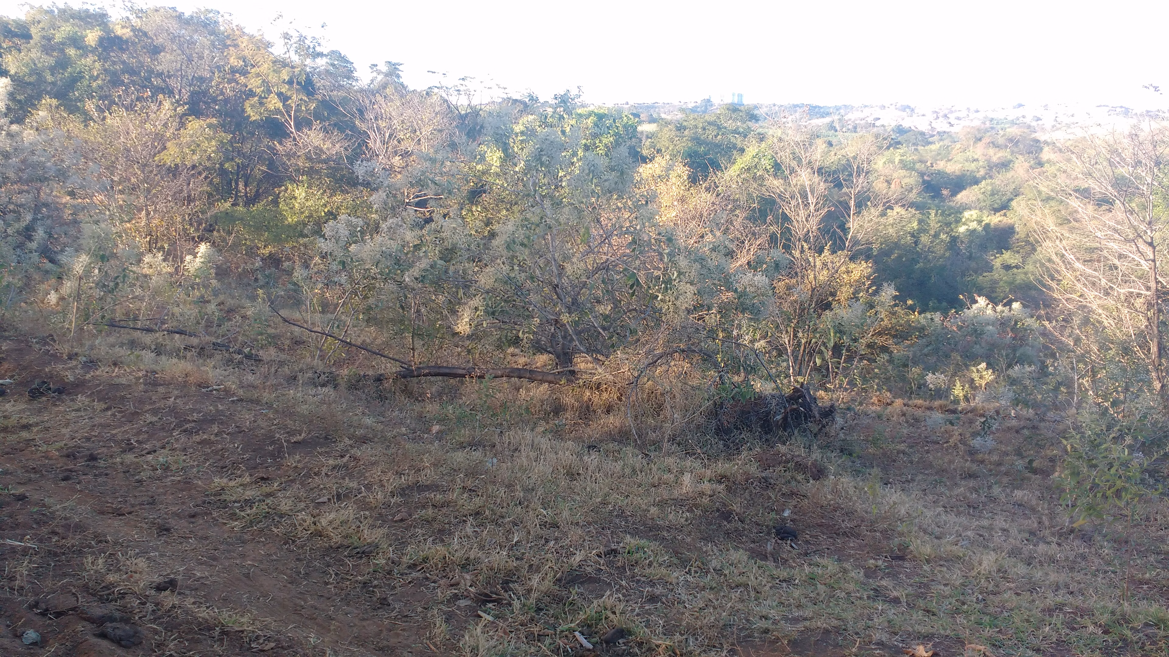 Plot of 13 acres in Anápolis, GO, Brazil