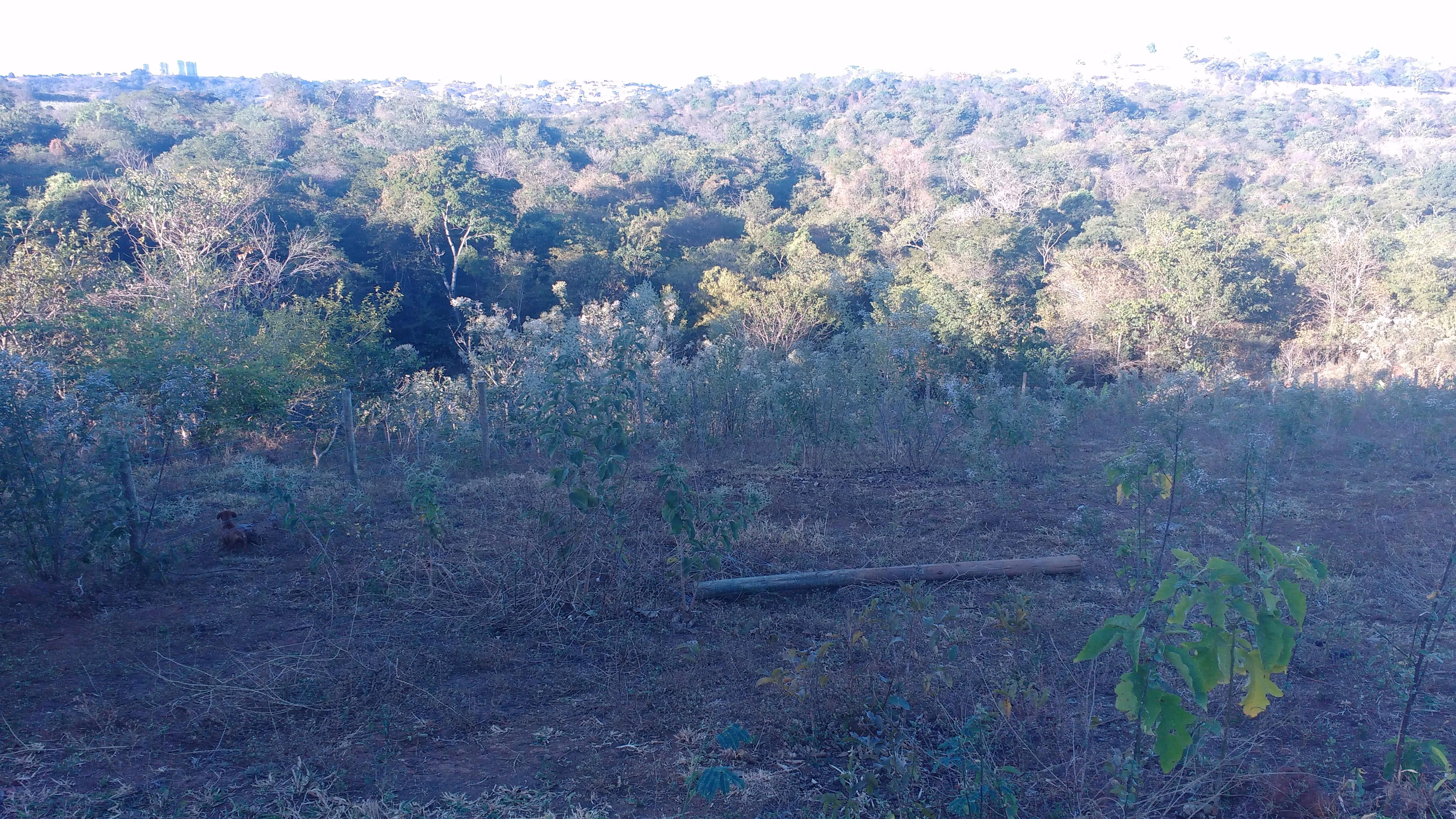 Plot of 13 acres in Anápolis, GO, Brazil