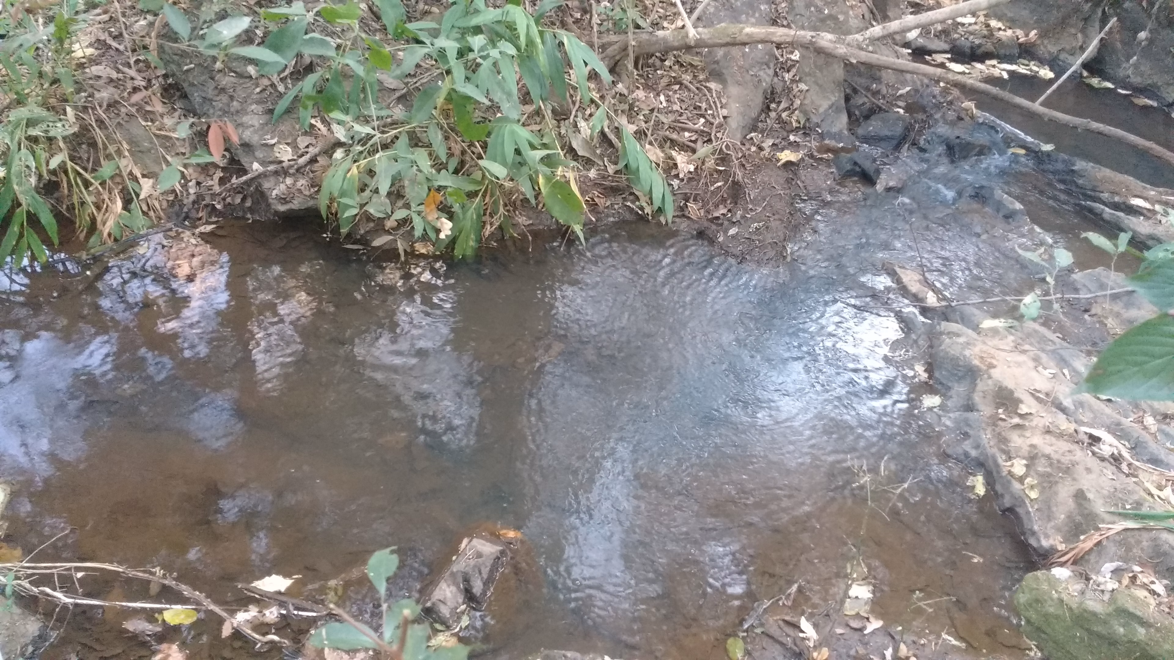 Plot of 13 acres in Anápolis, GO, Brazil