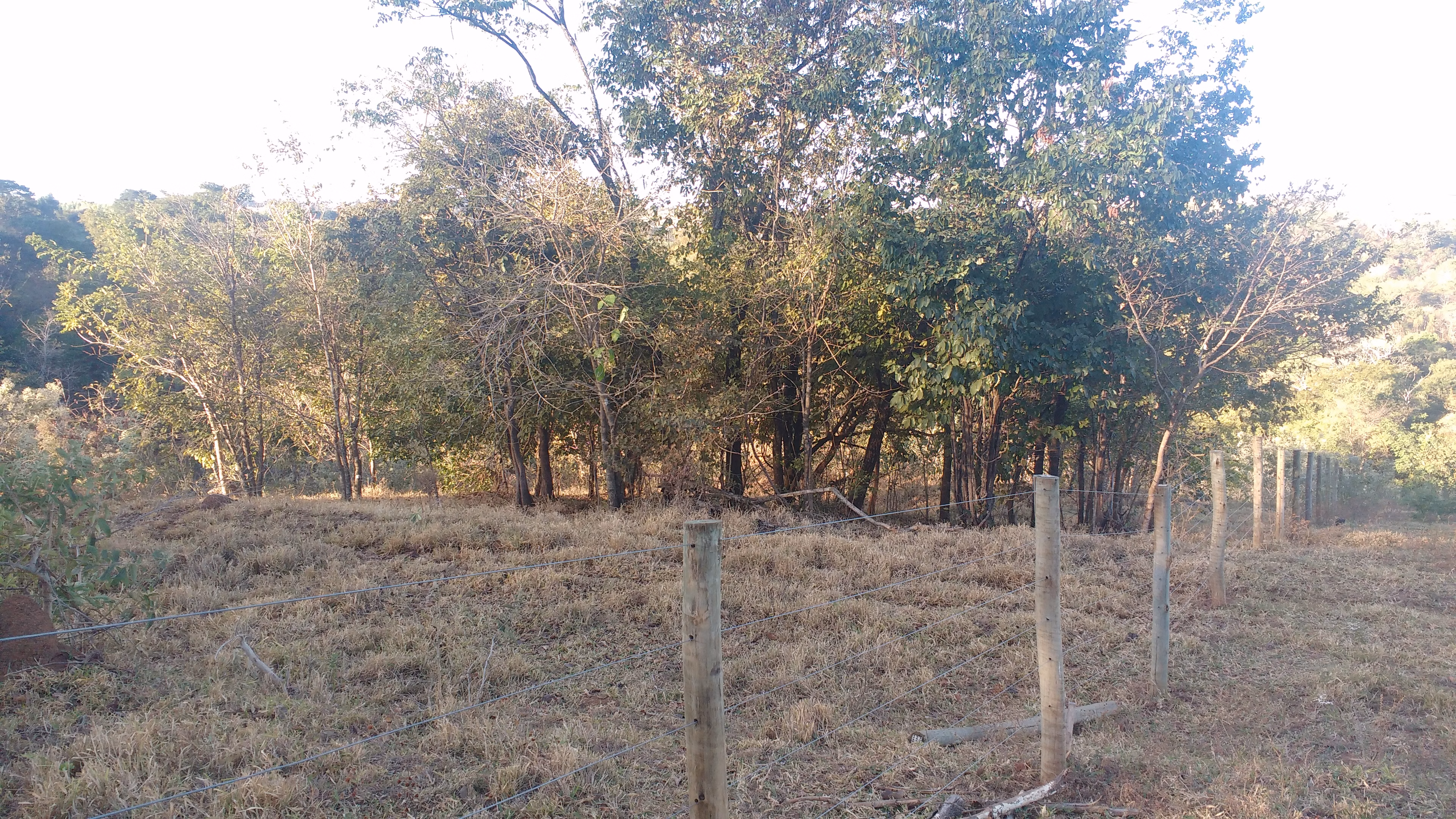Plot of 13 acres in Anápolis, GO, Brazil