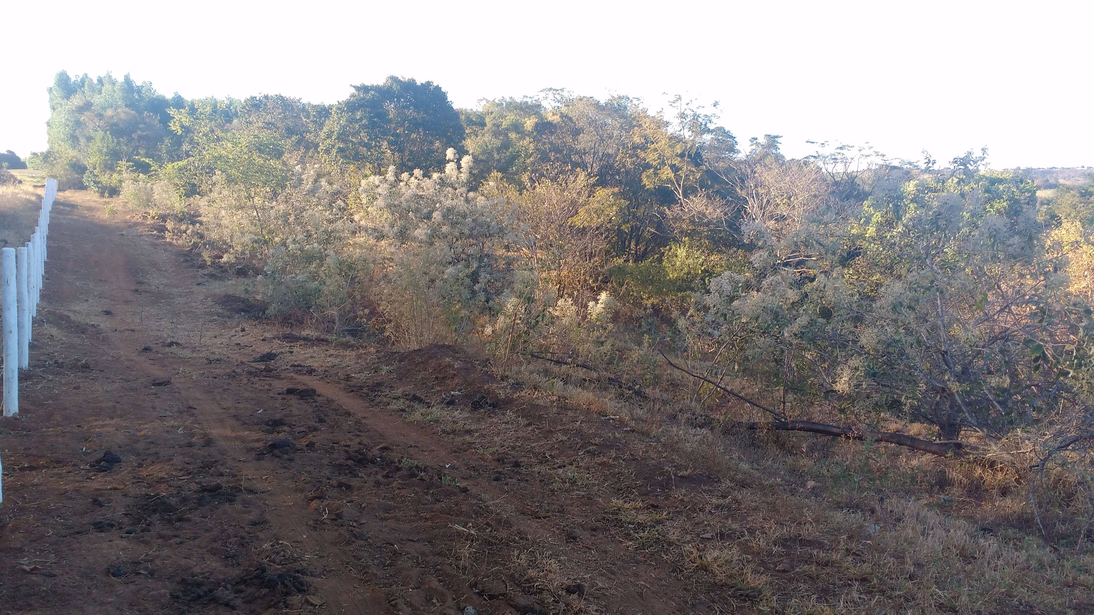 Plot of 13 acres in Anápolis, GO, Brazil