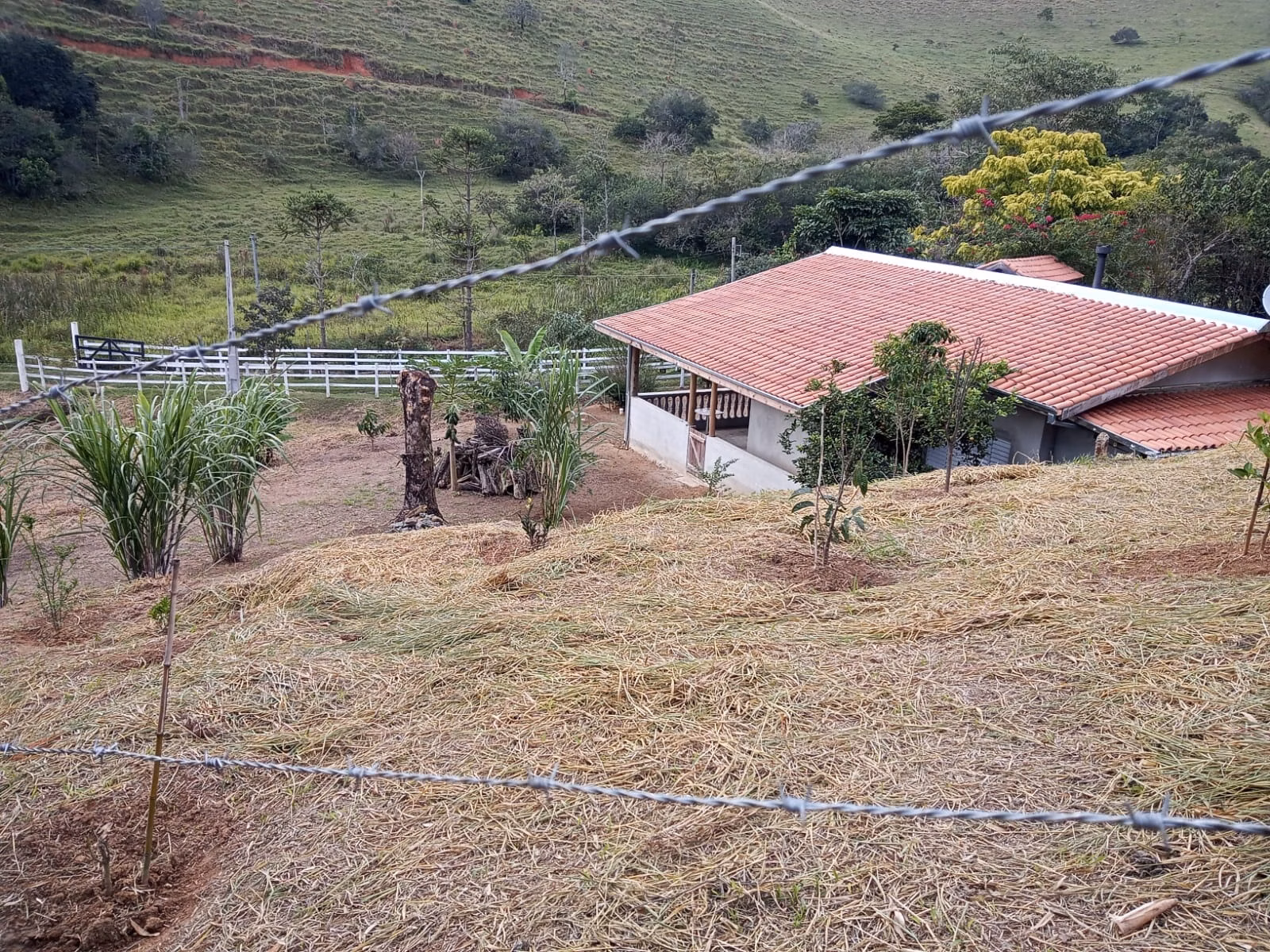 Chácara de 2 ha em São José dos Campos, SP