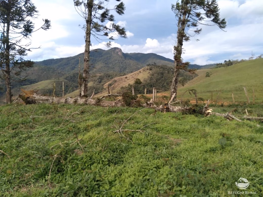 Small farm of 232 acres in São José dos Campos, SP, Brazil