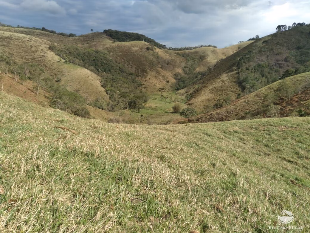 Small farm of 232 acres in São José dos Campos, SP, Brazil