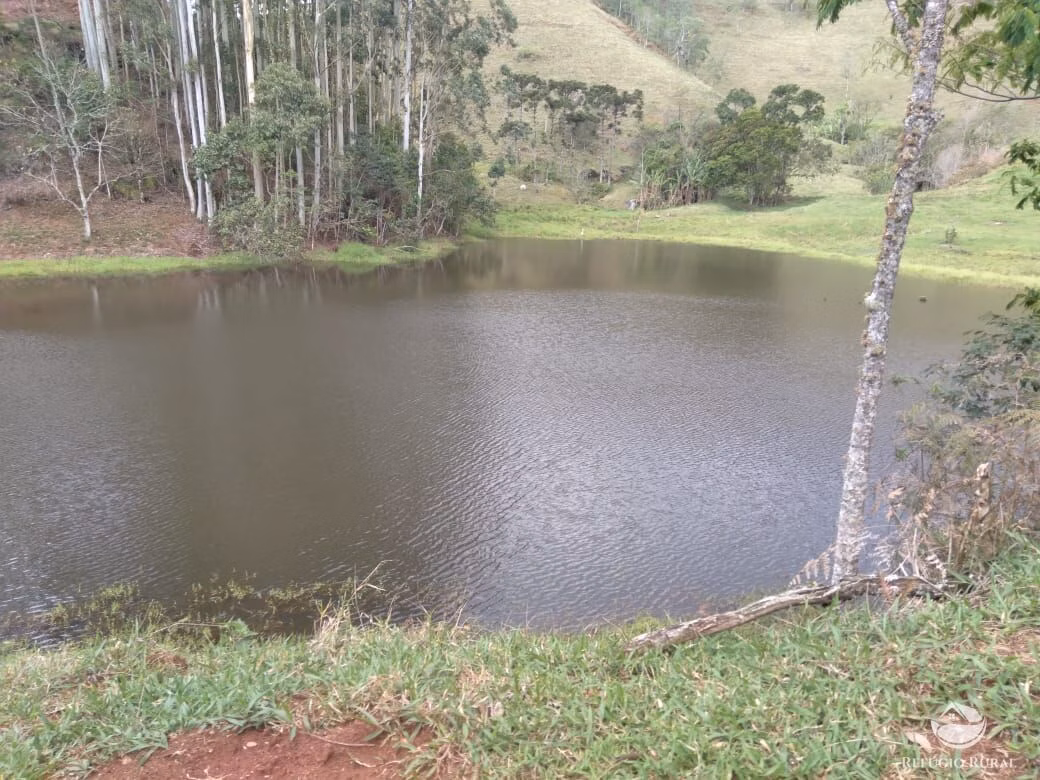 Small farm of 232 acres in São José dos Campos, SP, Brazil