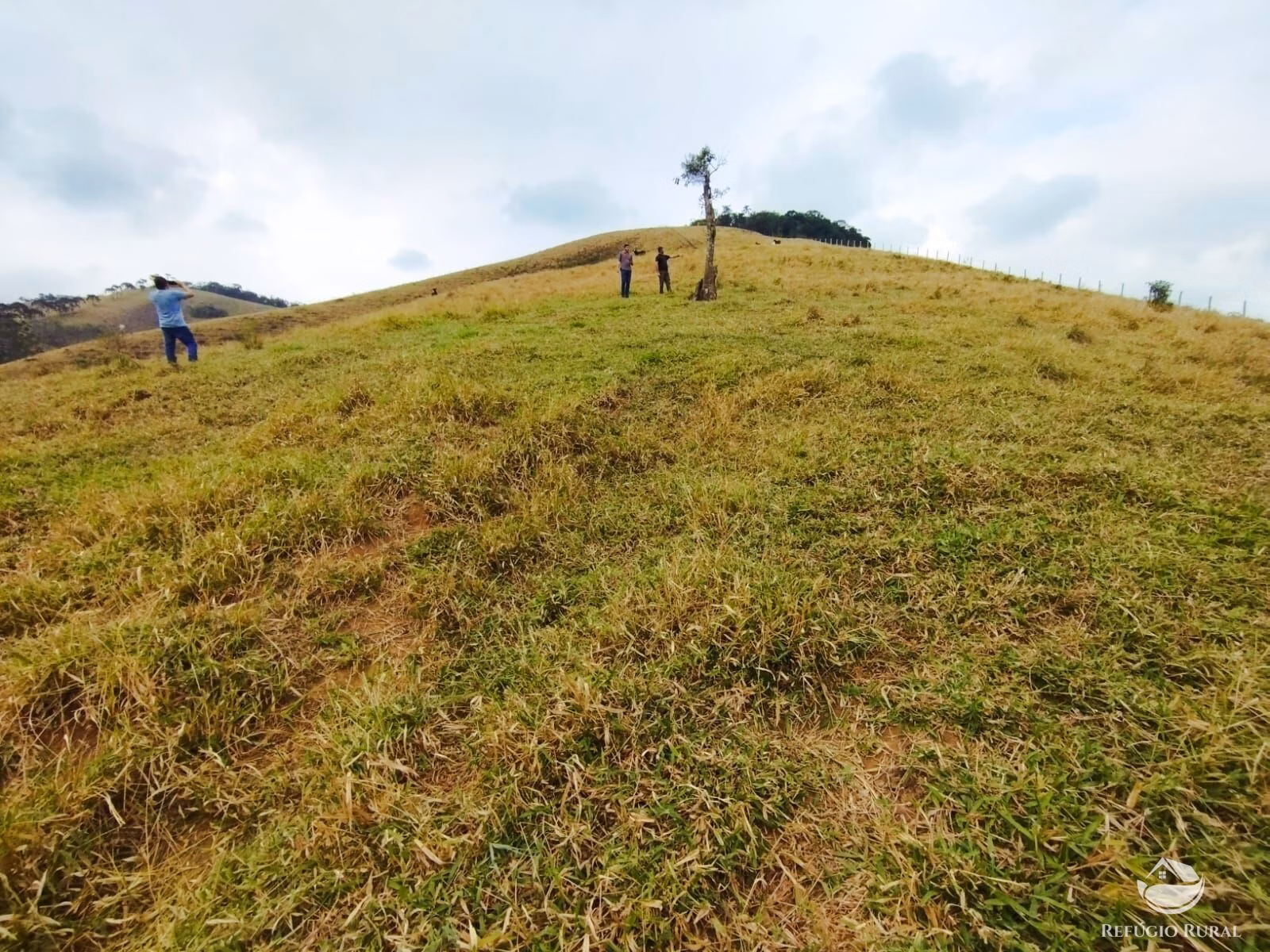 Small farm of 232 acres in São José dos Campos, SP, Brazil