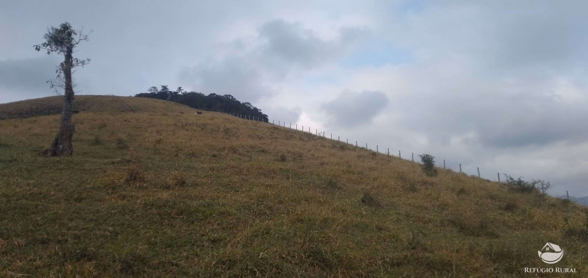 Small farm of 232 acres in São José dos Campos, SP, Brazil