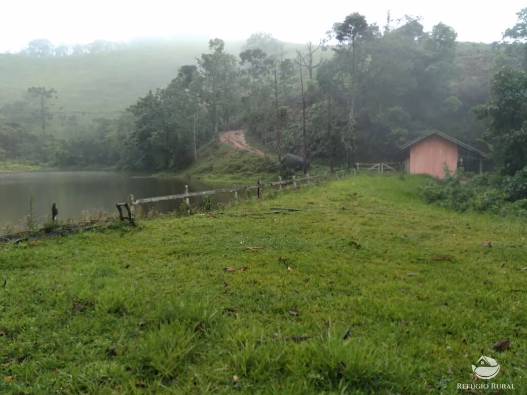 Small farm of 232 acres in São José dos Campos, SP, Brazil