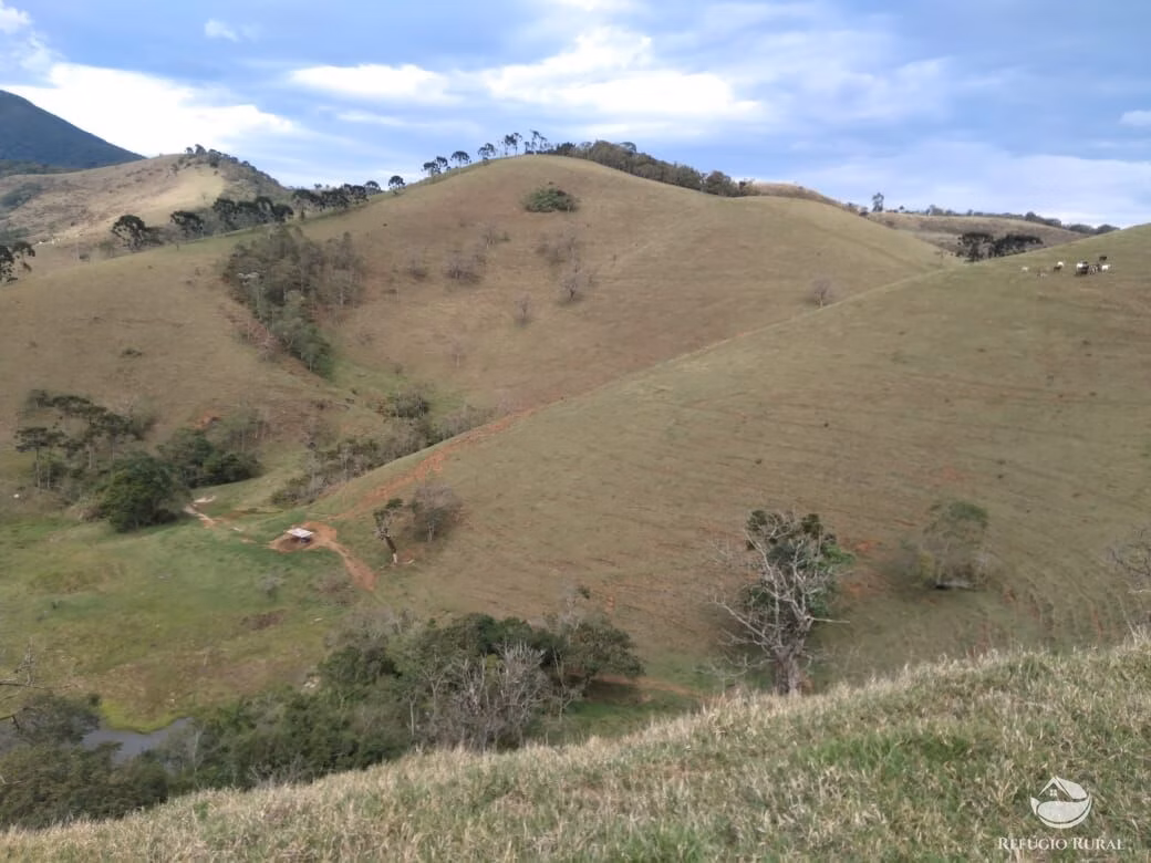 Small farm of 232 acres in São José dos Campos, SP, Brazil