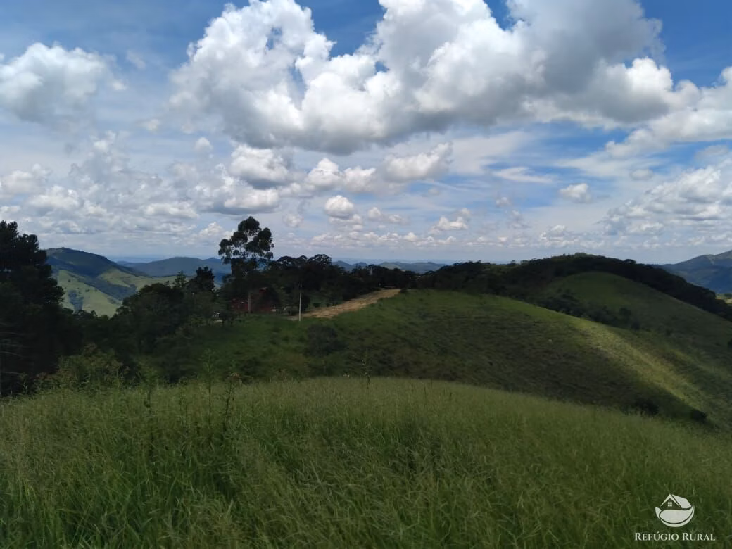 Small farm of 232 acres in São José dos Campos, SP, Brazil