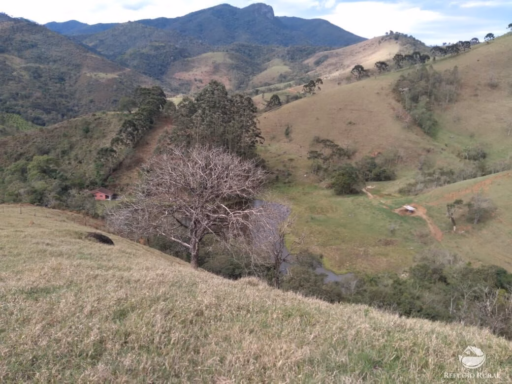 Small farm of 232 acres in São José dos Campos, SP, Brazil