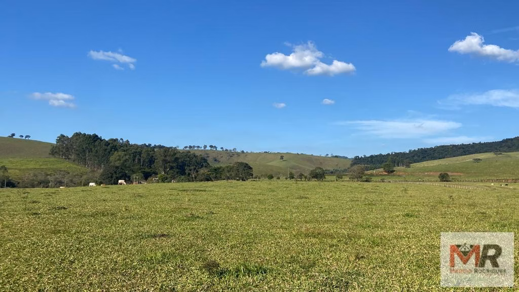 Terreno de 10 ha em Cambuí, MG
