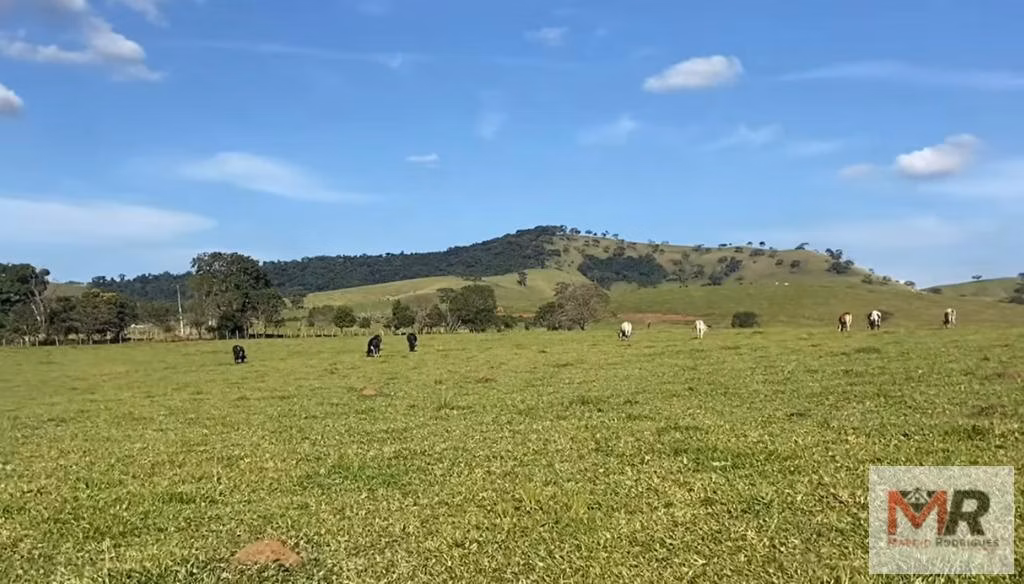 Terreno de 10 ha em Cambuí, MG