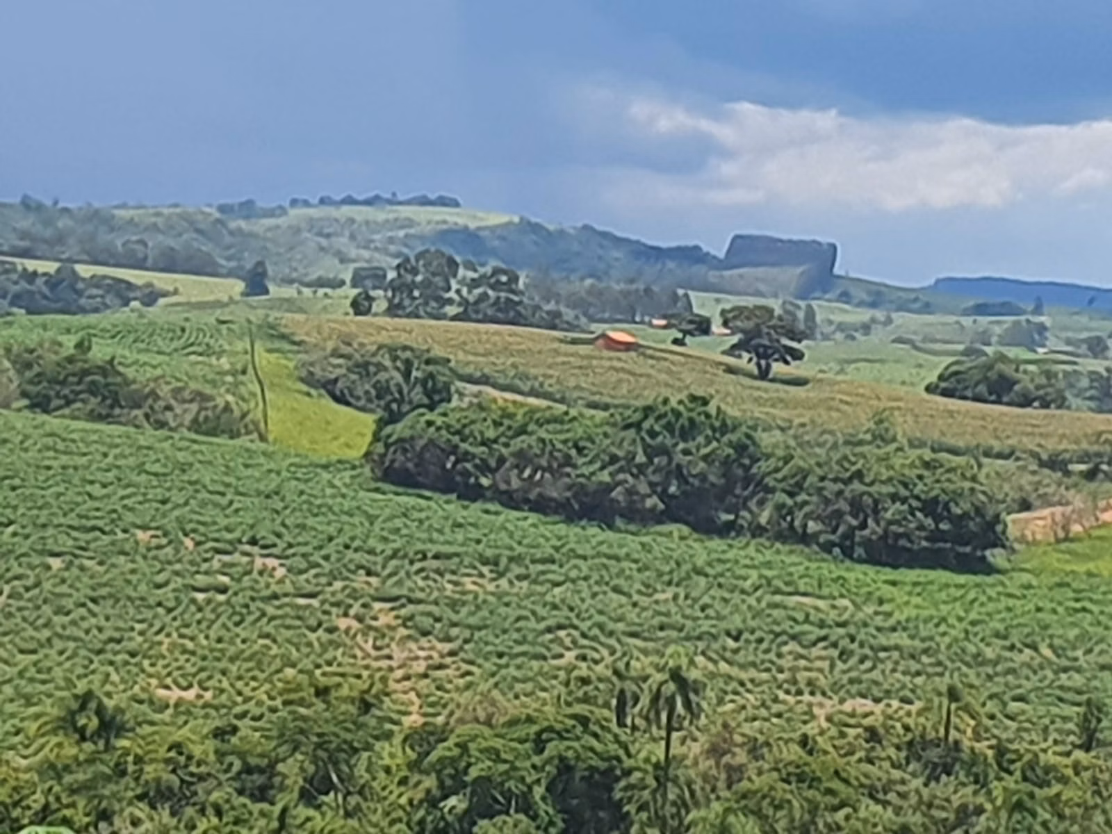 Fazenda de 303 ha em Bofete, SP