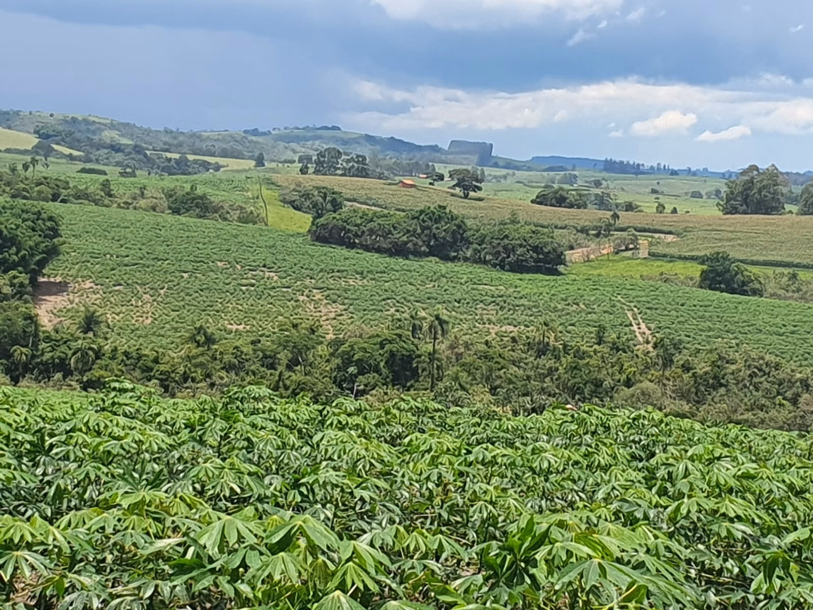 Fazenda de 303 ha em Bofete, SP