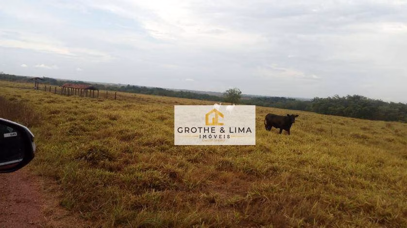Farm of 41.860 acres in Araguaína, TO, Brazil