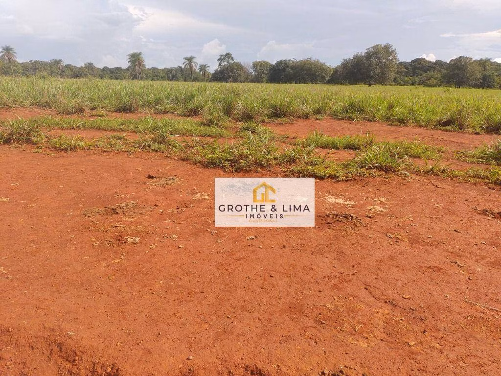 Fazenda de 1.394 ha em Pium, TO