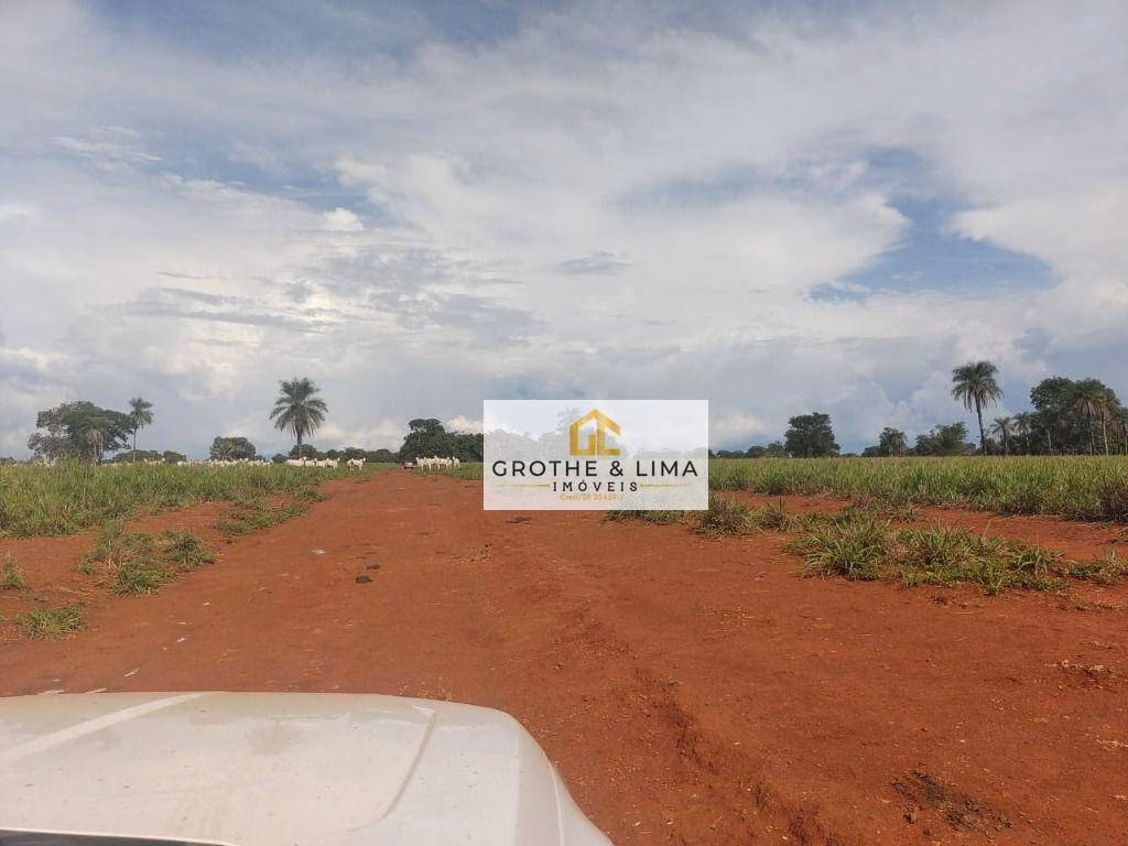 Fazenda de 1.394 ha em Pium, TO
