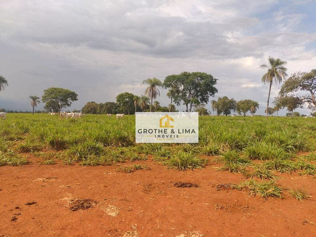 Fazenda de 1.394 ha em Pium, TO