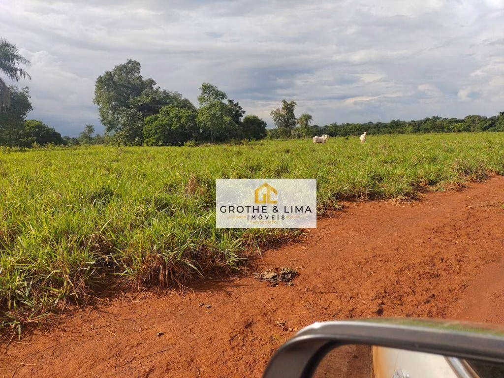 Fazenda de 1.394 ha em Pium, TO