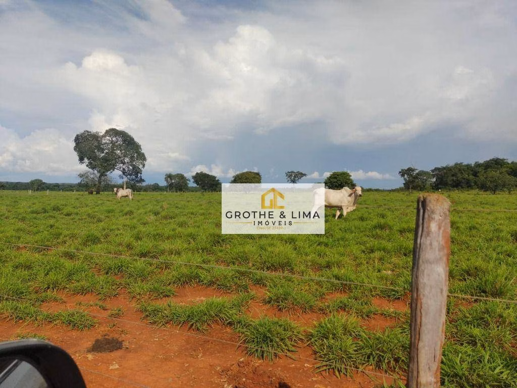 Fazenda de 1.394 ha em Pium, TO