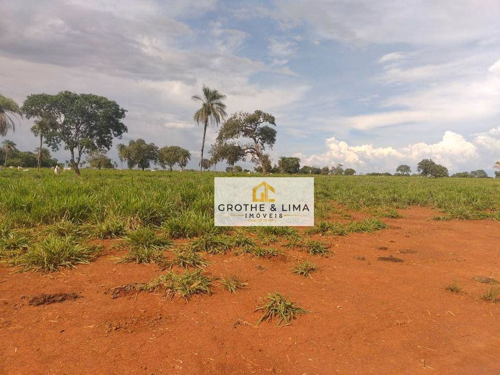 Fazenda de 1.394 ha em Pium, TO