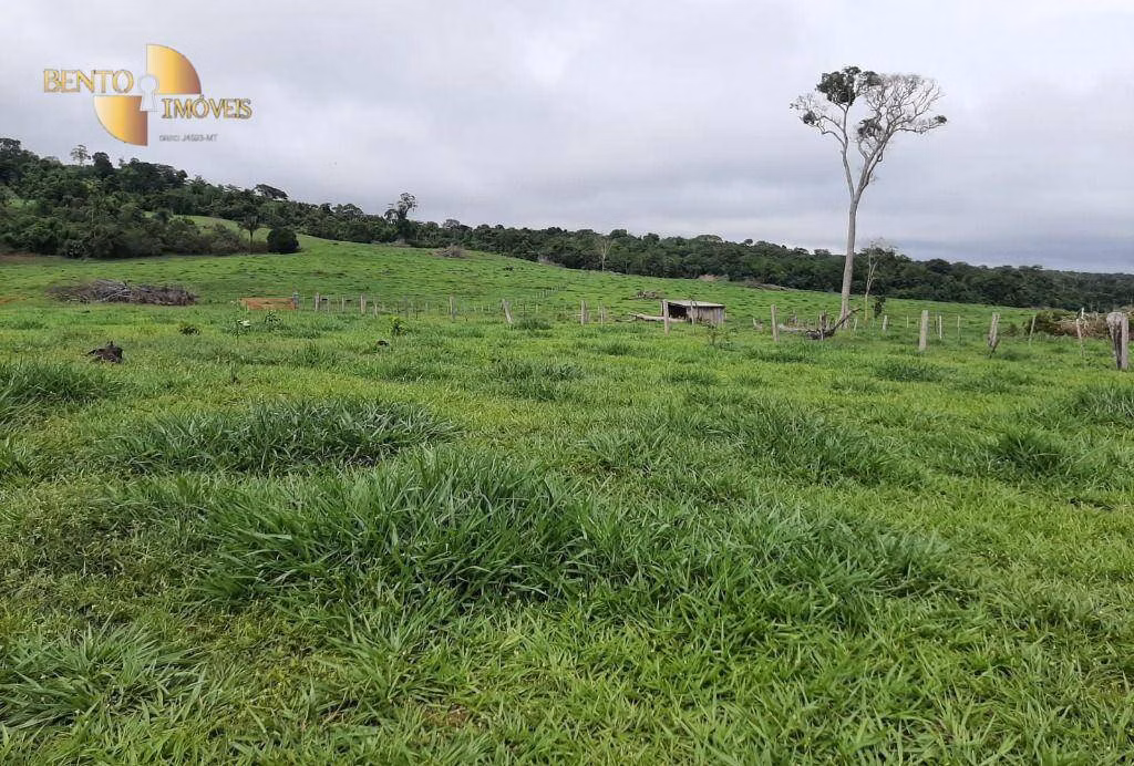 Fazenda de 907 ha em Guarantã do Norte, MT