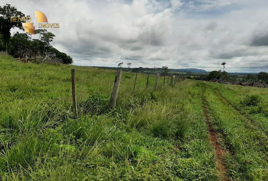 Fazenda de 907 ha em Guarantã do Norte, MT