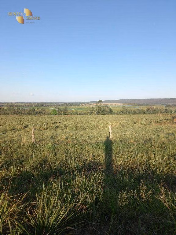 Fazenda de 907 ha em Guarantã do Norte, MT
